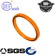 High Performance Spring Energized Seals for Valve